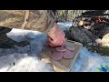 Moose Bologna