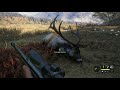 theHunter  Call of the Wild Diamond and Piebald Elk