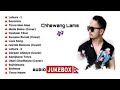 New Nepali Top Songs Collection 2020 || Chhewang Lama || Audio Jukebox || FireFly