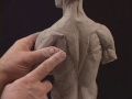 Sculpting a Male Torso