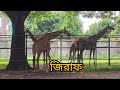 জাতীয় চিড়িয়াখানা ঢাকা, মিরপুর।National Zoo Dhaka Mirpur।Onushondhan world।