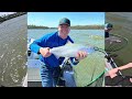 SPRING CHINOOK 2023 - WILLAMETTE RIVER SPRINGER FISHING - Trolling Triangle Flashers and Herring.