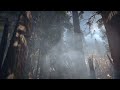 STAR WARS Endor Ambience for Study and Relaxation