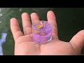 WORLD'S SMALLEST Fish AQUARIUM!