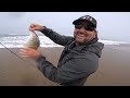8 hours of surf fishing with Hookupbaits owner. Striper and surf perch. It was a grind!