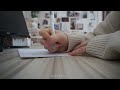 Study With Me 🧸 pen writing sound•°. *࿐ with 1hr timer｜no music, ASMR, aesthetic ♡ 白噪音声控手写学习陪伴｜勉強風景