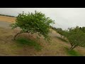 Kabab FPV Spot