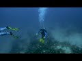 Roatan Dive 07