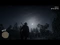 Red Dead Redemption 2 online weird glitch with a friend