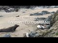 Unwanted Company-March 8, 2020