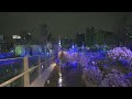 [4K HDR] 5AM 🌙 Seoul Snowfall Night on Lunar New Year's Day with Ambience Sounds ASMR