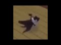 low quality breakdancing cat low quality dancing to low quality funky town for a low quality 10 hrs