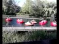 Bumper boats