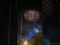 Disney’s Magic Kingdom firework show Wishes.