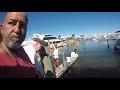 Tarpon hand feed on marco island rose marina