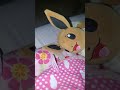 the pikachu plush show episode 2: eevee gets sick