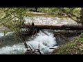 SILENT PERSPECTIVES (4K) of Lewis River Trail! | Lower Middle Upper Falls Gifford Pinchot Washington