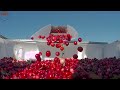 How to Grow, Harvest and Process Tons of Cranberries with Agricultural Technology.#9