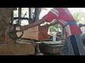 Sawing super mahogany logs 3.8 long meters into planks