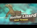 The Lizard Tier List