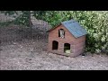 Outdoor Cats Stepping Inside A House For The First Time !!