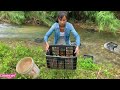 The girl used a simple fruit basket to make a fish trap and her harvest was so unexpected