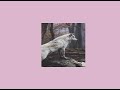 selena gomez // wolves (slowed+reverb)