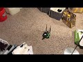 Nvidia Jetbot collision avoidance demo