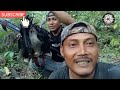 ngobolang babi hutan,di musim panas..!! malah poin marpati hutan sama punai 1 gantung,spot baru