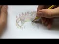 Drawing a stegosaurus
