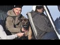 I Trained My Dogs To A Military Standard | BIG DOGZ