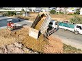 Opening New Project ! Bulldozer Pushing Stone Soil ,Team  Dump Trucks 5T