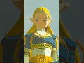 Why Doesn't Link Talk in The Legend of Zelda? #shorts