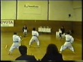 karatekas 91