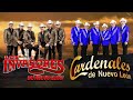 Los Tigres del Norte, Lalo Mora, Cardenales De Nuevo Leon, Los Invasores De Nuevo Leon, Ramon Ayala2