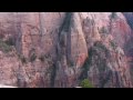 California Condors in Zion National Park