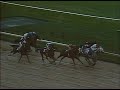 1988 Breeders' Cup Classic