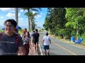 [4K] People's Park in the Sky - Tagaytay Philippines 🇵🇭 - Walking Tour Vlog & Travel Guide 🎧