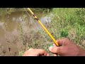 This FLOODED BRUSH Was LOADED WITH FISH!! (Bobber Fishing)