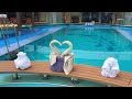 Towel Animals on the Carnival Vista 2024❗️😎🏖️🏝️🌴🛳️