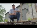 Tree Watering Guide: How to Check Your Trees & How to Water // Frisella Nursery