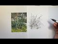 How to Draw Clumping Plants