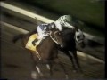 Alysheba - 1988 Meadowlands Cup Handicap