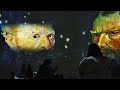 Clip of Van Gogh Immersive, Musings on Creative Value