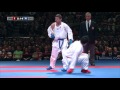 FINAL. Gogita ARKANIA vs Ryutaro ARAGA. 2014 World Karate Championships. Male Kumite -84kg