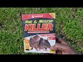 Protect garden plants: How to make a rat and mouse trap at home | Rat & Mouse killer bait | UK bagan