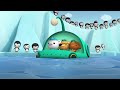 ​@Octonauts - 🐬 Bottlenose Dolphin Chase 🏊 | Compilation | @OctonautsandFriends