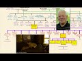 THE WHITTAKERS: A West Virginia Inbred Family Tree Explained- Mortal Faces