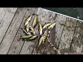 The Perch are Biting. (Pennsylvania)