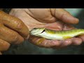 Fly Fishing Small Streams | How To